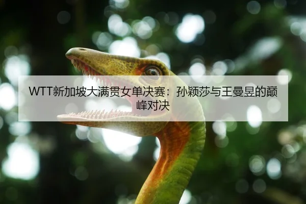 WTT新加坡大满贯女单决赛：孙颖莎与王曼昱的巅峰对决