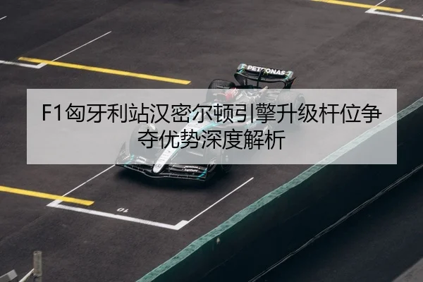 xiong-ya-li-zhan-han-mi-er-dun-yin-qing-sheng-ji-gan-wei-zheng-duo-you-shi-shen-du-jie-xi-3-933.jpg