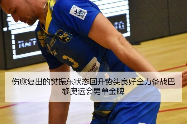 伤愈复出的樊振东状态回升势头良好全力备战巴黎奥运会男单金牌