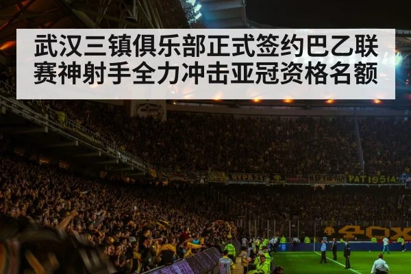 武汉三镇俱乐部正式签约巴乙联赛神射手全力冲击亚冠资格名额