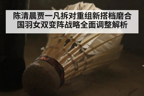 陈清晨贾一凡拆对重组新搭档磨合国羽女双变阵战略全面调整解析